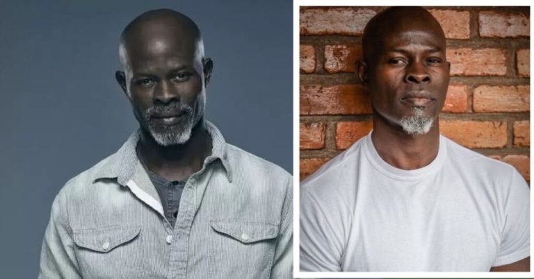 Djimon Hounsou’s Remarkable Journey: His Net Worth, Career, and Personal Life