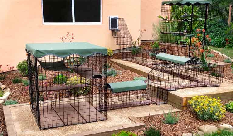 Catio Creations: Designing Outdoor Havens for Happy Cats